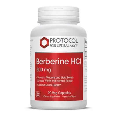 Berberine Protocol Supplement, 500mg - 90 Capsules