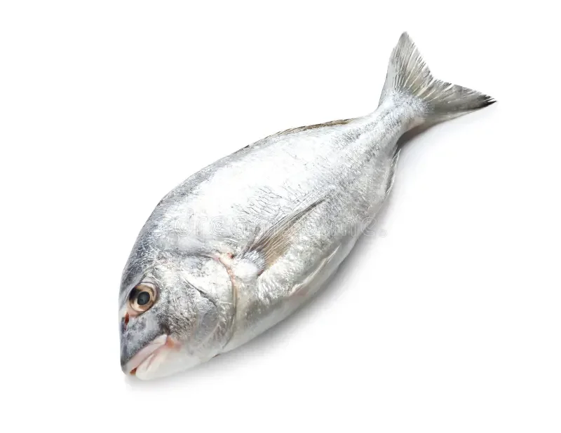 ممه فرس البحر صغير 80 مل من فيش — Fish — Bottle 80 ml / زجاجة 80 مل