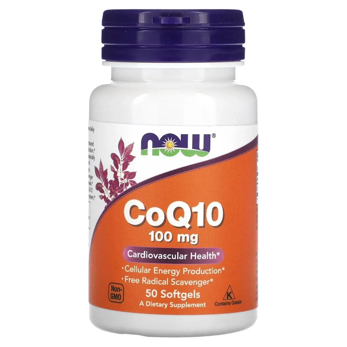 ناو فودز (NOW Foods) كو-إنزيم كيو 10، دعم قوي مضاد للأكسدة لإنتاج طاقة الخلية، 100 ملغ، 50 كبسولة هلامية — NOW — 50 softgels